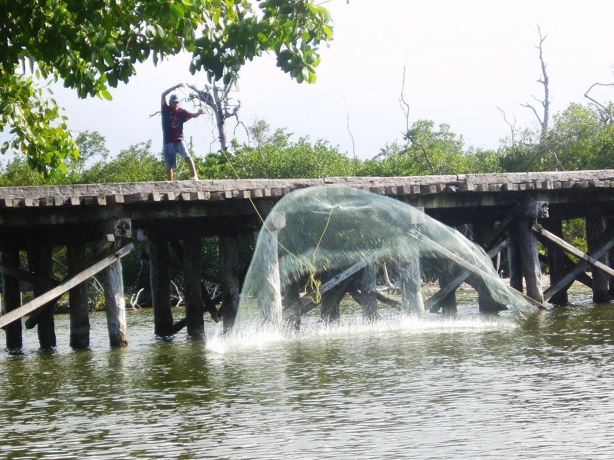 Antigua Lodge, 70 M From Sandy Beach El Cuyo Ngoại thất bức ảnh